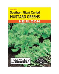 Brassica, Mustard Greens 'Southern Giant Curled' Heirloom