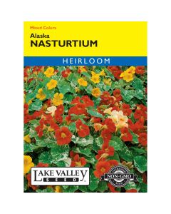 Tropaeolum, Nasturtium 'Alaska' Mixed Colors