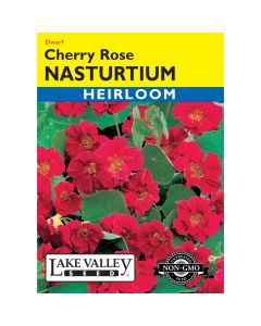Tropaeolum, Dwarf Nasturtium 'Cherry Rose' Heirloom