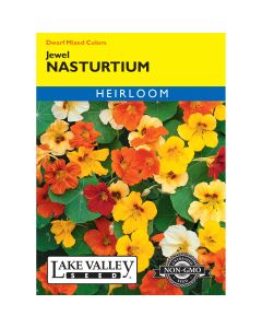 Tropaeolum, Dwarf Nasturtium 'Jewel' Mixed Colors