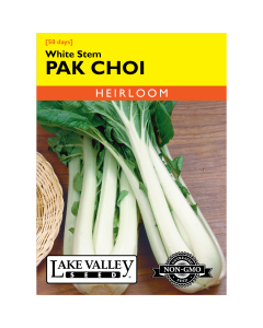 Brassica, Pak Choi/Bok Choy 'White Stem' Heirloom