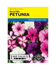 Petunia, Dwarf Hybrid Choice Mixed Colors