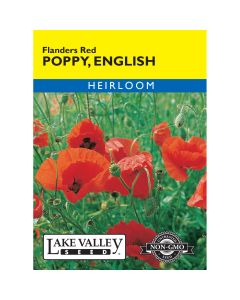Papaver, English Poppy 'Flanders' Red