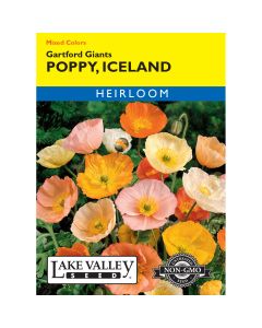 Papaver, Iceland Poppy 'Gartford Giants' Mixed Colors