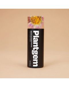 Cosmos 'Apricot Lemonade' ~ 100 seeds