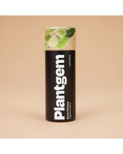 Lagurus 'Bunny Tail Grass' ~ 100 seeds