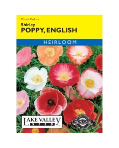Papaver, English Poppy Mix 'Shirley' Heirloom