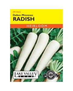 Raphanus, Daikon Radish 'Minowase'