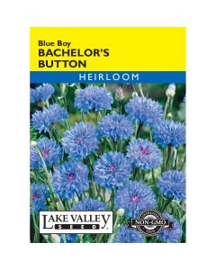 Centaurea, Bachelor’s Button 'Blue Boy'