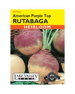 Brassica, Rutabaga 'American Purple Top' Heirloom