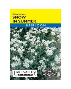 Cerastium, Snow In Summer