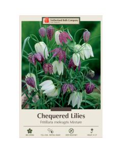 Fritillaria, Checkered Lily Mix