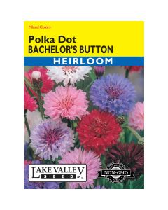 Centaurea, Cornflower Mix 'Polka Dots' Heirloom
