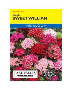 Dianthus, Sweet William Mix 'Single' Heirloom