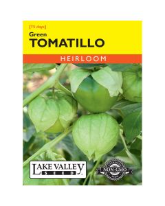 Physalis, Tomatillo 'Green'