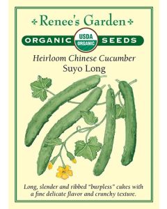 Cucumis, Chinese Cucumber, Suyo Long ~ 33 seeds