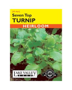 Brassica, Turnip Tops 'Seven Top' Heirloom