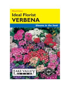 Verbena Mix 'Verbena Ideal' Heirloom