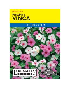 Vinca Rosea, Annual Periwinkle Mixed Colors
