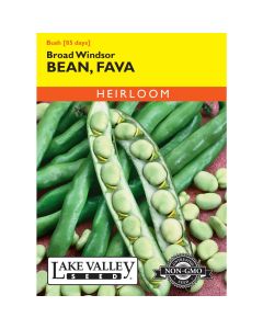 Vicia, Broad Bean (Pole) 'Windsor' Heirloom