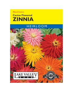 Zinnia 'Cactus Flowered' Mixed Colors
