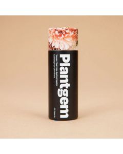 Callistephus, Chinese Aster 'Tower Chamois Apricot' ~ 100 seeds