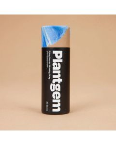 Ipomoea, Morning Glory 'Flying Saucer' ~ 100 seeds