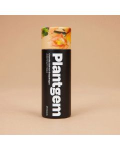 Antirrhinum, Snapdragon 'Chantilly Salmon' ~ 50 seeds