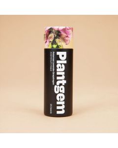 Antirrhinum, Snapdragon 'Potomac Lavender' ~ 50 seeds