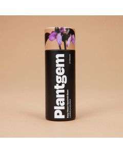 Lablab, Hyacinth Bean Vine 'Ruby Moon; ~ 10 seeds