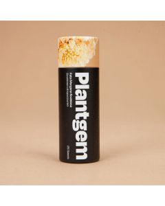 Scabiosa, Pincushion Flower 'Fata Morgana' ~ 50 seeds