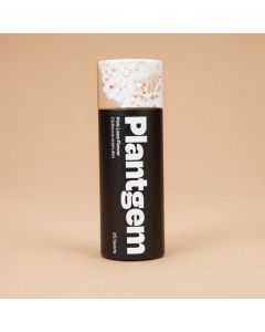 Didiscus, Lace Flower 'Lacy Pink' ~ 100 seeds