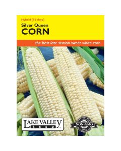 Zea, Sweet Corn (Late) 'Silver Queen' Hybrid