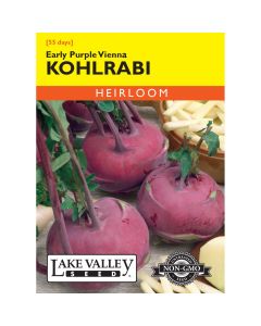 Brassica, Kohlrabi 'Early Purple Vienna' Heirloom