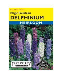 Delphinium, Dwarf 'Magic Fountains' Mixed Colors