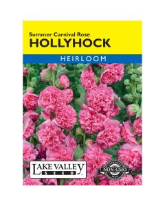 Alcea, Hollyhock 'Summer Carnival Rose' Heirloom