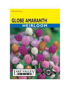 Gomphrena, Globe Amaranth 'Mixed Colors'