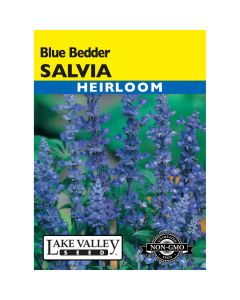 Salvia, Mealy Sage 'Blue Bedder'