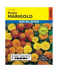 Tagetes, French Marigold 'Petite' Mixed Colors Value Pack