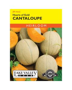Cucumis, Cantaloupe 'Hearts of Gold' Heirloom