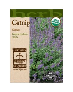 Nepeta, Catnip Organic Heirloom