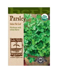 Petroselinum, Parsley 'Italian Flat Leaf'