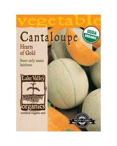 Cucumis, Cantaloupe 'Hearts of Gold' Organic Heirloom