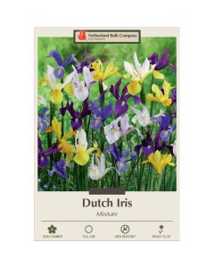 Iris, Dutch Iris Mixture