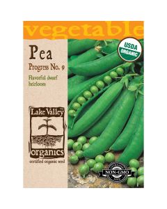 Pisum, Shelling Peas (Bush) 'Progress NO. 9' Organic Heirloom