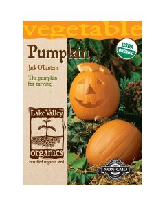 Cucurbita, Carving Pumpkin 'Jack O' Lantern' Organic