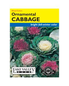 Brassica, Cabbage 'Ornamental' Mixed Colors 