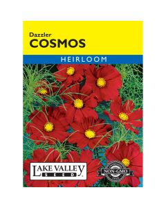 Cosmos 'Dazzler'