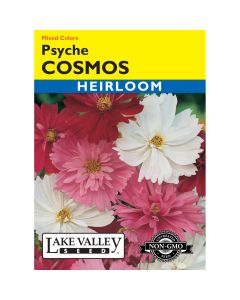 Cosmos 'Psyche' Mixed Colors