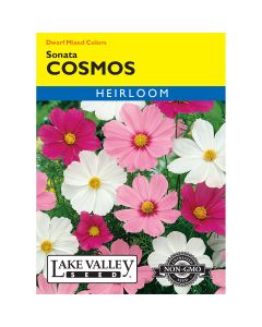 Cosmos 'Sonata' Dwarf Mixed Colors